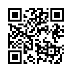 41F33R QRCode