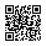 41FR33E QRCode