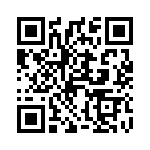 42007 QRCode