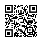 4282-8SG-300 QRCode