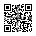 4291-9PG-3ES QRCode