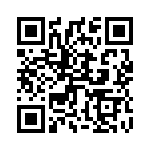 45J300E QRCode