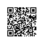 51760-11002410AA QRCode