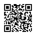 5382-4PG-528 QRCode