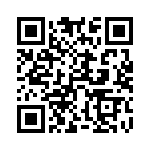 54101-G30-30 QRCode