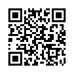 54101-T05-07 QRCode