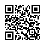 54101-T08-05 QRCode