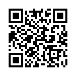 54102-T06-10 QRCode