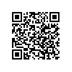 54121-402100800LF QRCode