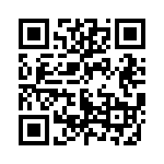 55110-3L-04-E QRCode