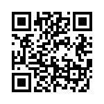 593212130013F QRCode