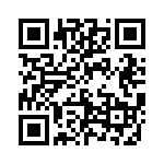 593313131013F QRCode