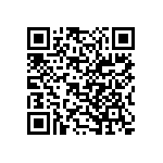 609176002016099 QRCode