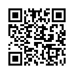 61030013010010 QRCode