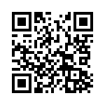 61Z256 QRCode