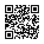 638P156G2I2T QRCode