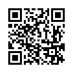 653E13303I2T QRCode