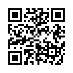 653P13303I2T QRCode