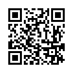 653P17336C3T QRCode