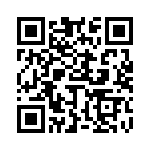 653P17505I3T QRCode