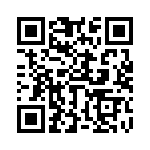 653P21256A2T QRCode