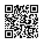 6561403303F QRCode