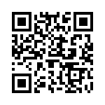 691313510004 QRCode