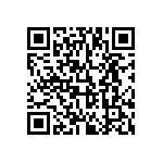 813-SS-012-30-004101 QRCode