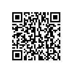 813-SS-020-30-023101 QRCode