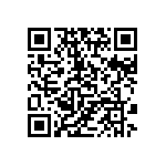 853-87-038-20-002101 QRCode