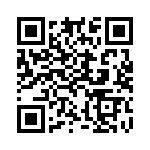 903-287P-51S QRCode