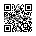 95104-419HLF QRCode