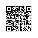 951434-2011609-AR-PT QRCode