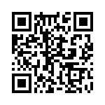 953002DFLFT QRCode