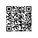 97-3106B22-11SY-417-940 QRCode