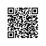 9T06031A1333BBHFT QRCode