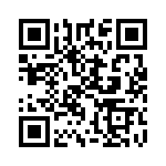 AM4376BZDND30 QRCode