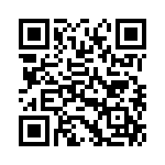 AT9704-065E QRCode