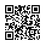 B32520C3333K QRCode