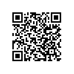 B32521C3124K189 QRCode