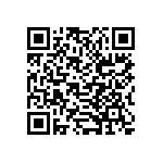 B32521C6333J189 QRCode