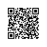 B32529C1333K289 QRCode