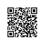 B32529C6223K189 QRCode