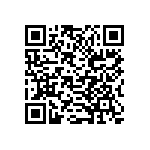 B32529E6333K289 QRCode