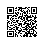 B32560J0334J289 QRCode