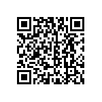 B32560J3154K289 QRCode