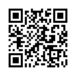 B41696A7687Q9 QRCode