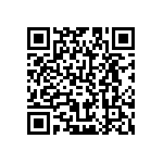 B64290L0690X038 QRCode