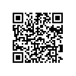 B64290L0742X038 QRCode