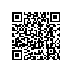 B65541W0100A087 QRCode